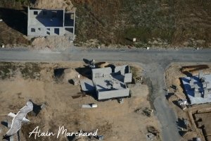 P1540941 2022 07 23 Allée Des Hérons, Des Spatules